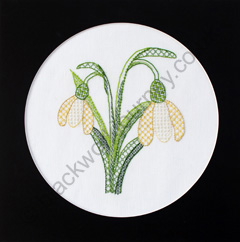 PR0049 - Snowdrops - 5.50 GBP